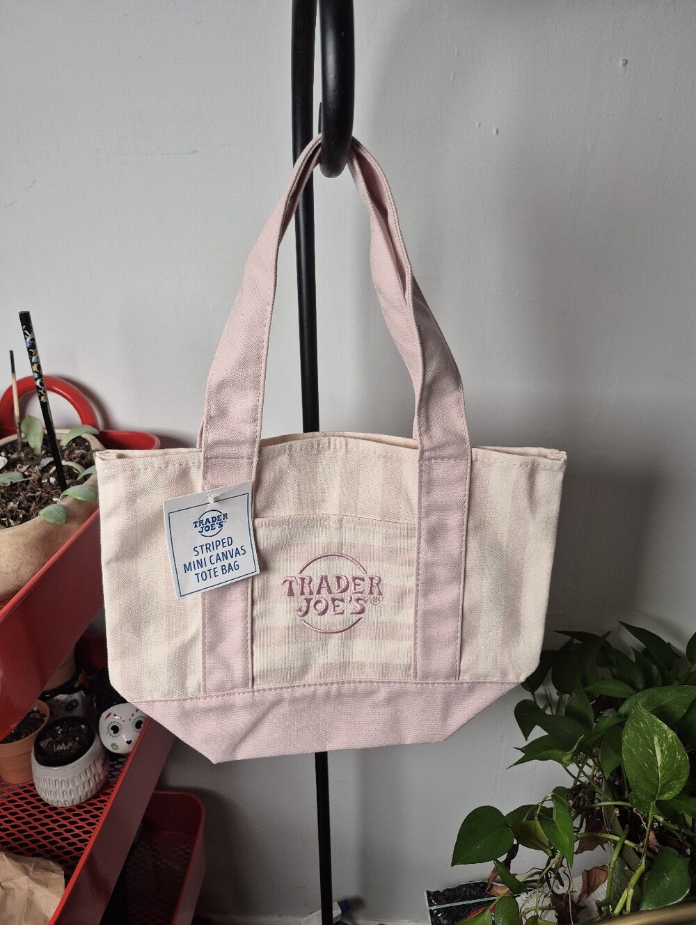The Viral Trader Joes Pink Striped Mini Canvas Tote Bag